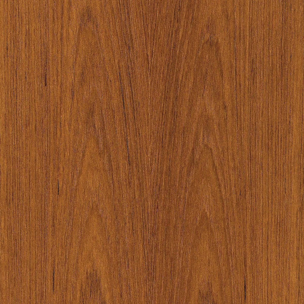 Flat Cut Teak Veneer material sample – Eagle’s Nest, Sharjah UAE