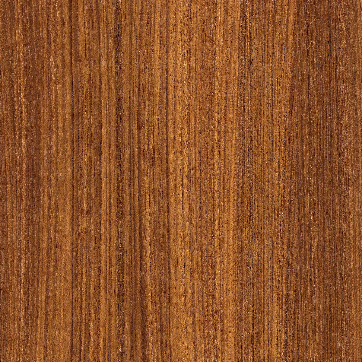 Quartered Teak Veneer material sample – Eagle’s Nest, Sharjah UAE