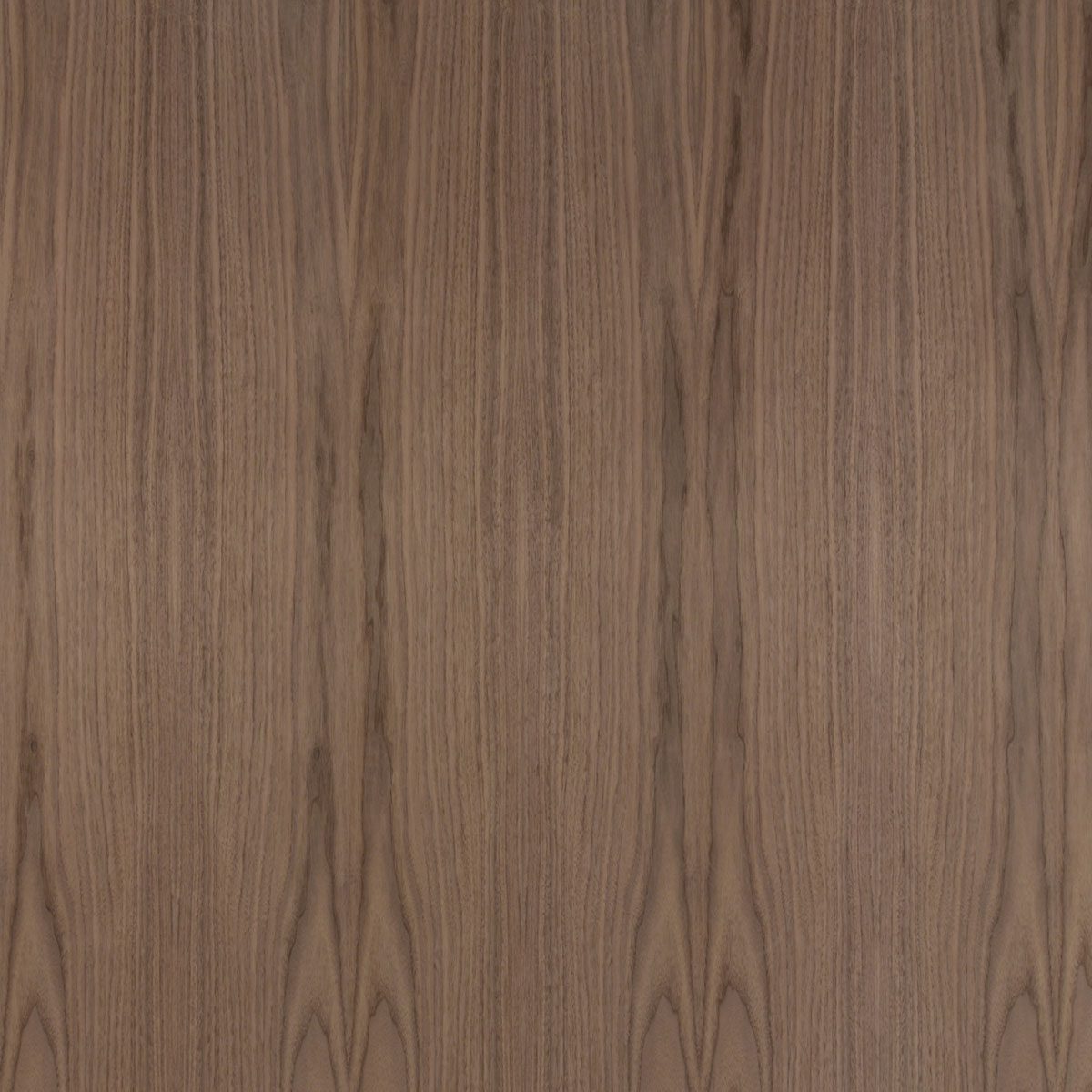 Walnut, Flat Cut material sample – Eagle’s Nest, Sharjah UAE