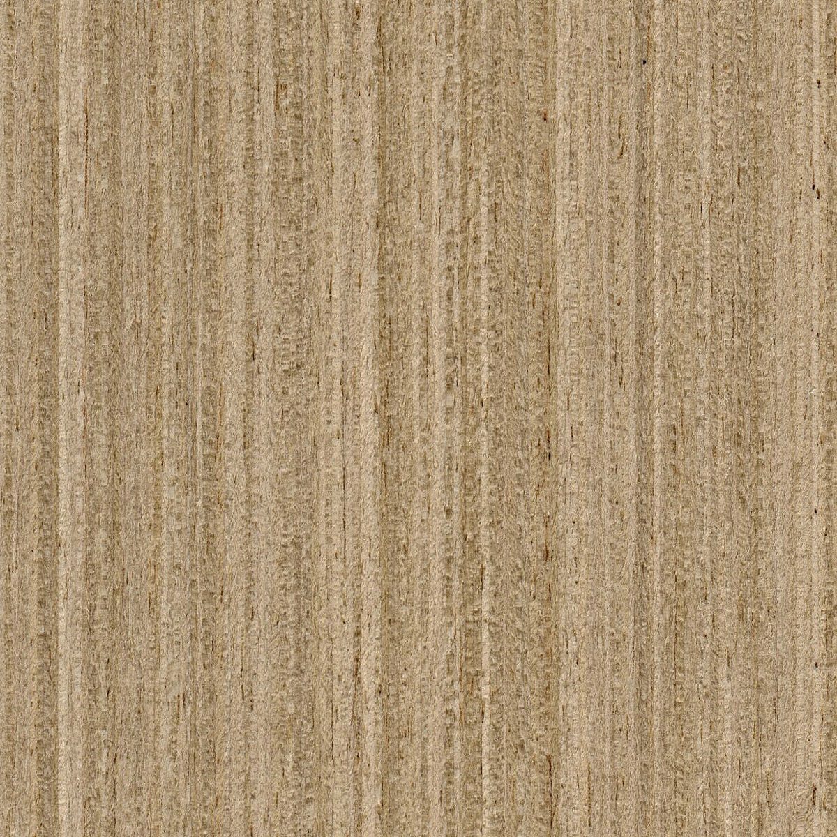 Uni-Formwood Champagne, Quartered material sample – Eagle’s Nest, Sharjah UAE