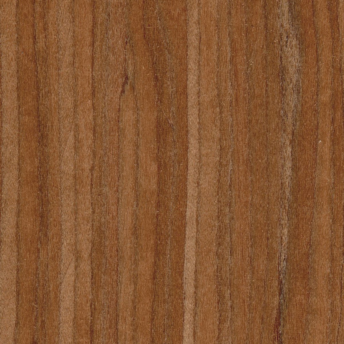 Uni-Formwood Cherry, Quartered material sample – Eagle’s Nest, Sharjah UAE