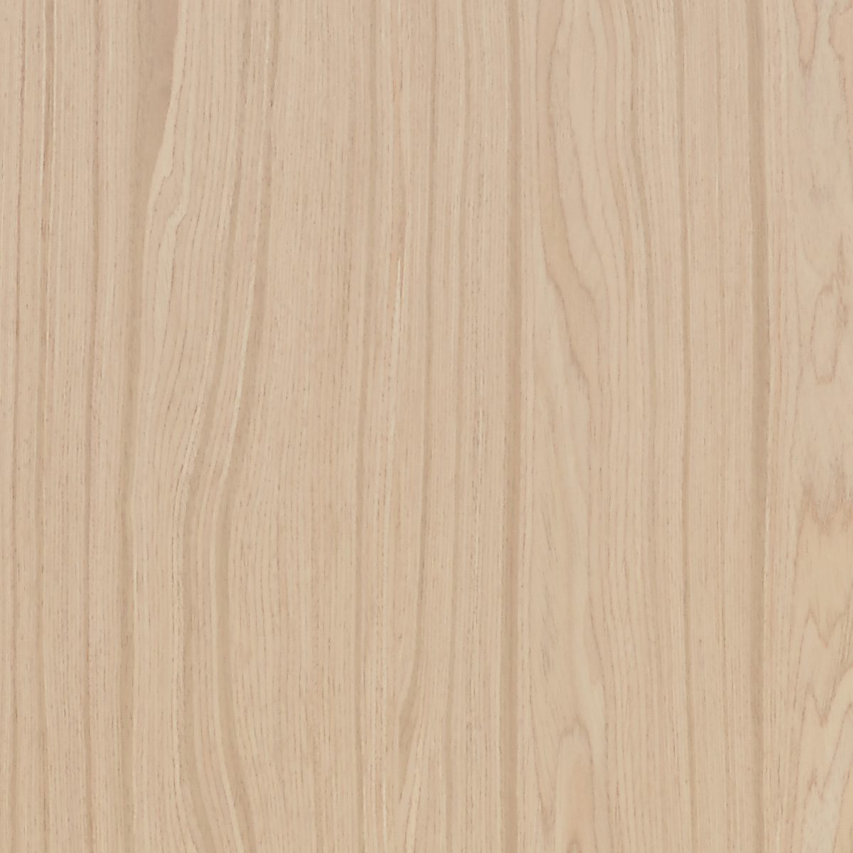 Uni-Formwood Desert Acacia material sample – Eagle’s Nest, Sharjah UAE