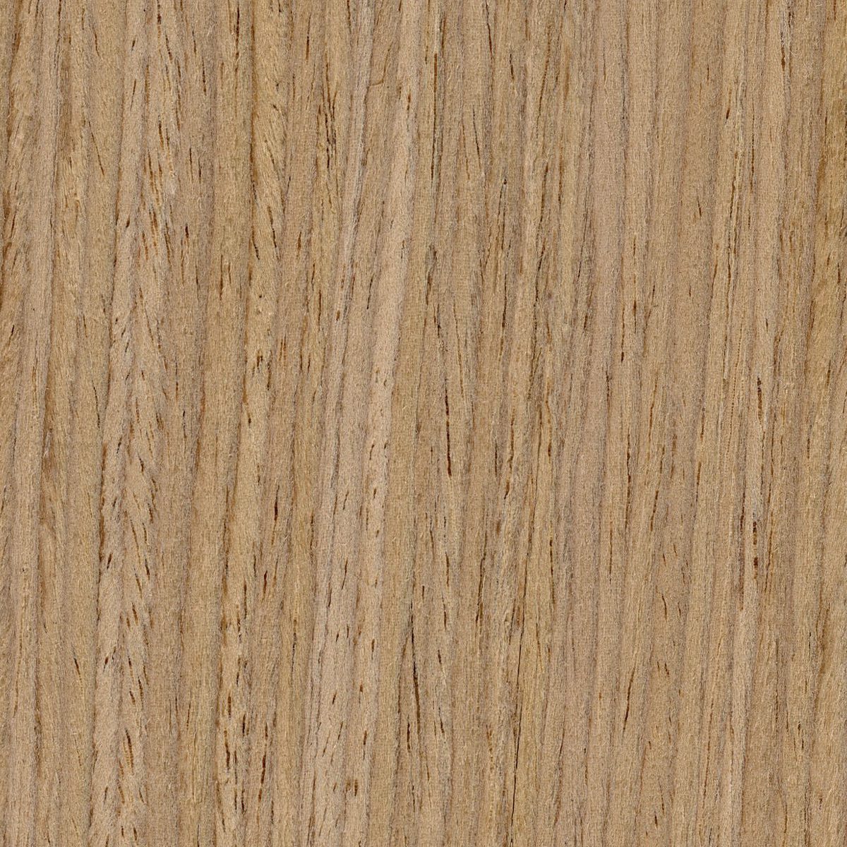 Uni-Formwood Oak, White, Rift material sample – Eagle’s Nest, Sharjah UAE