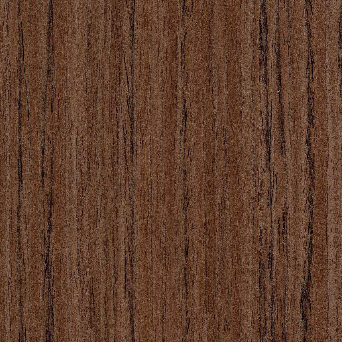 Uni-Formwood Teak, Quartered material sample – Eagle’s Nest, Sharjah UAE