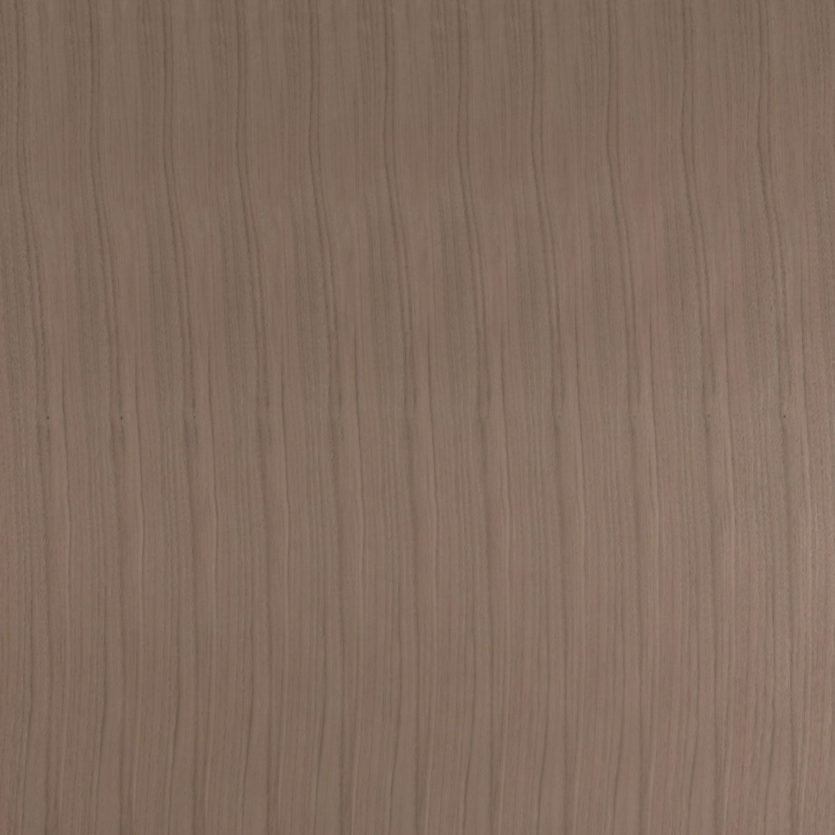Walnut, Quartered material sample – Eagle’s Nest, Sharjah UAE