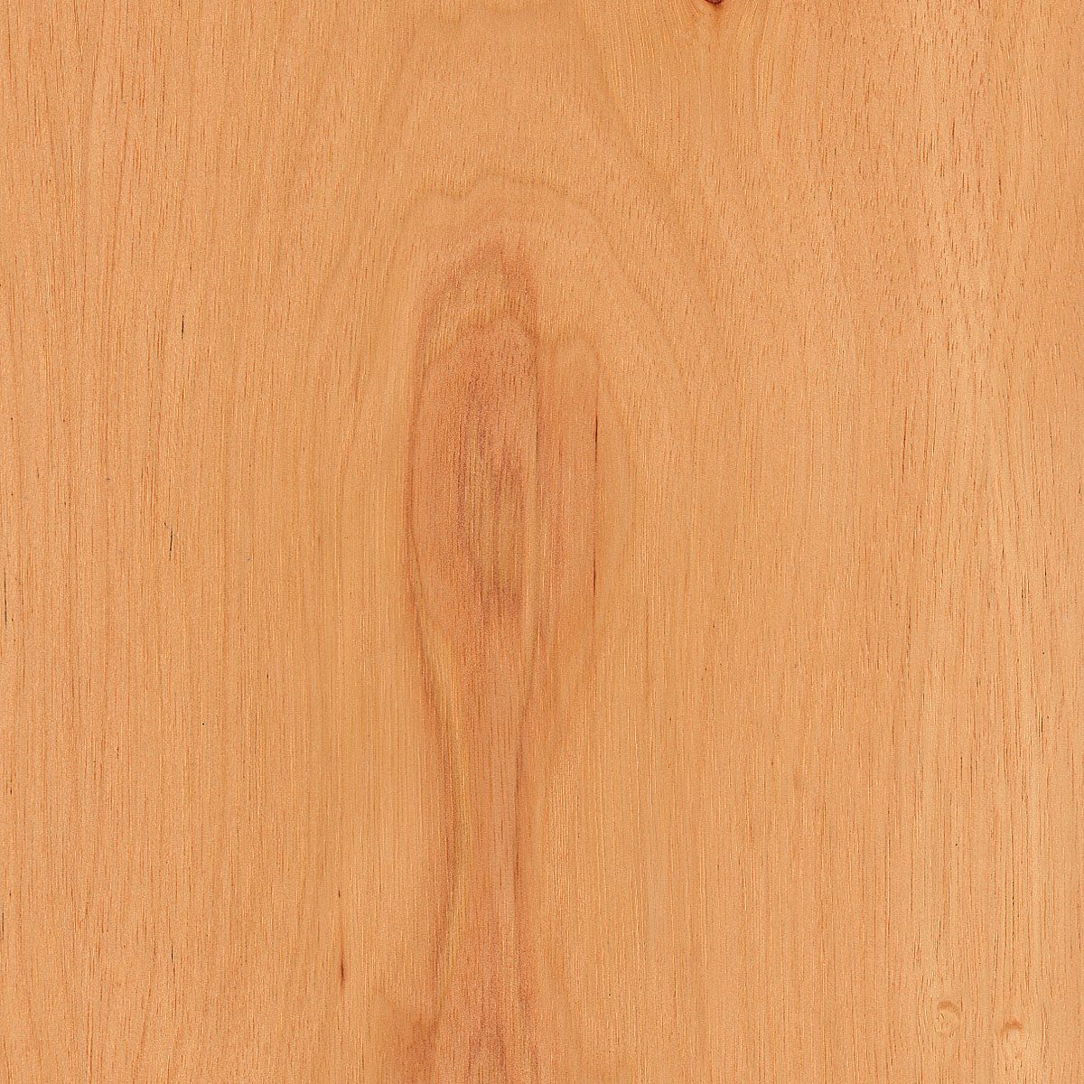 Pecan, Flat Cut material sample – Eagle’s Nest, Sharjah UAE
